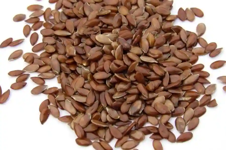 Alsi - Flax seeds - अलसी के बीज